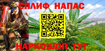 наркотики Кингисепп
