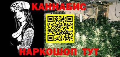 наркотики Кингисепп