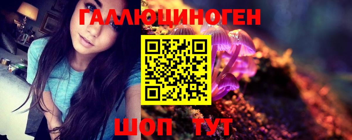 Усть-Илимск  Галлюциногенные грибы Magic Shrooms  Псилоцибиновые грибы прущие грибы  Вход с VPN 